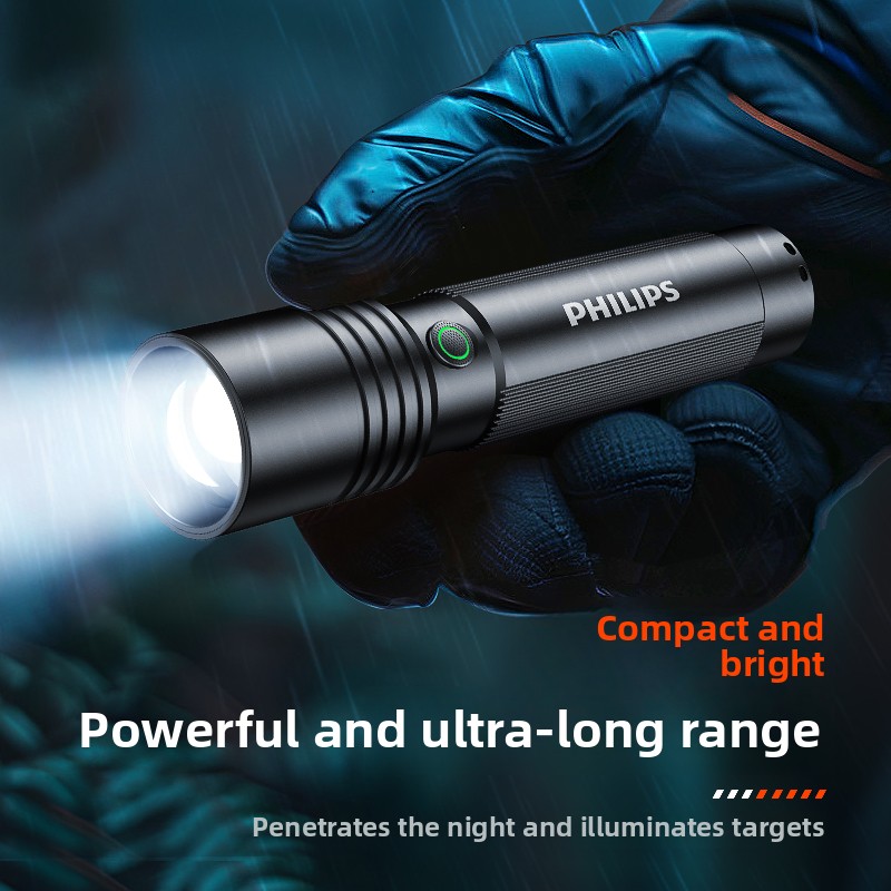 Lanterna Philips SFL2146 para  - Outdoor Lighting Philips avaliação e preço